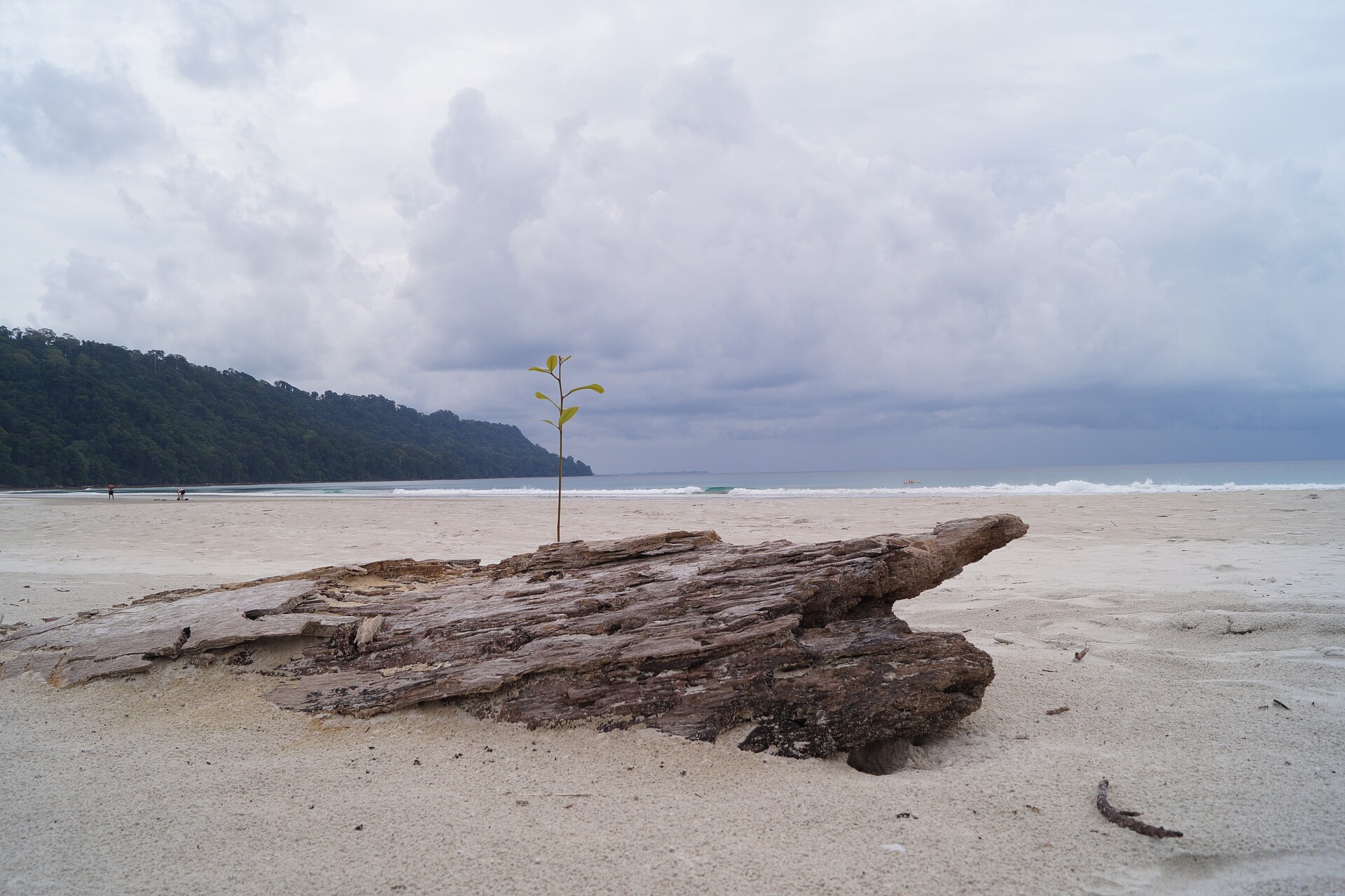 Andaman & Nicobar