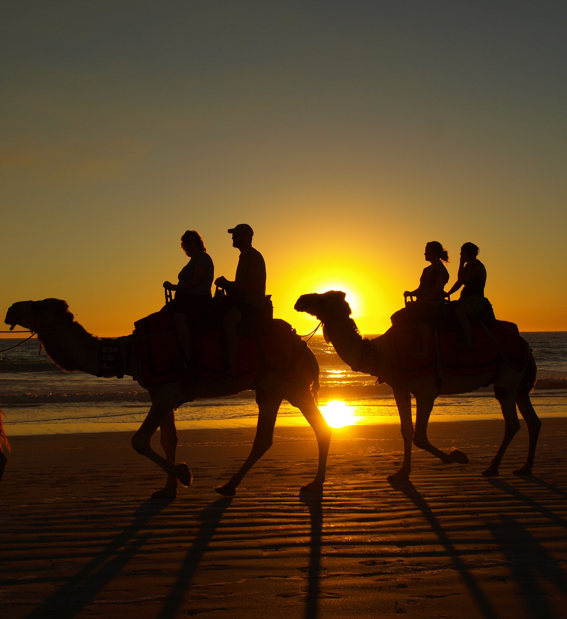 Travellers silhouetted against a beach sunset