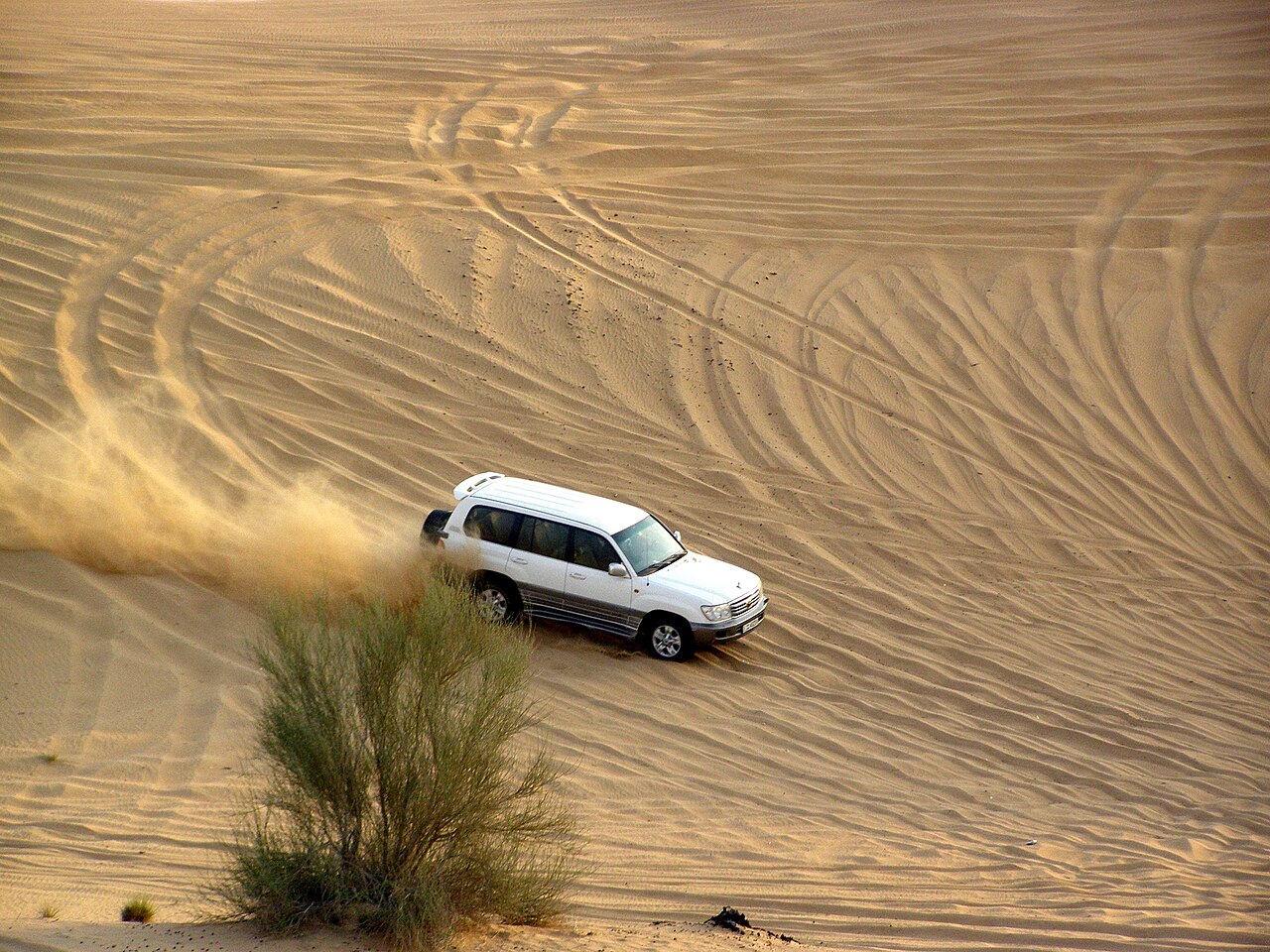 Dubai Delight